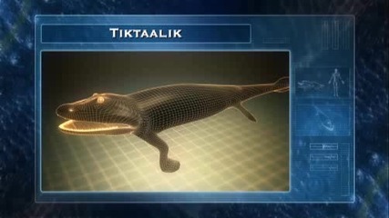 Animal Planet - Animal Armageddon Tiktaalik