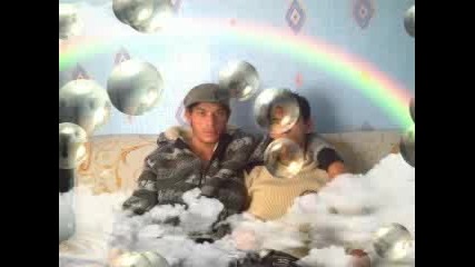 Sofi 2008