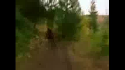 Downhill Roam
