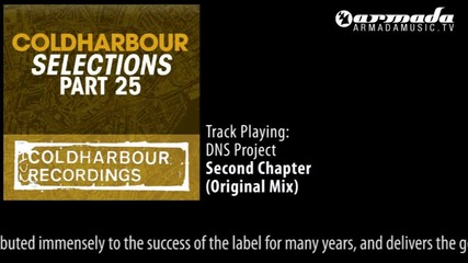 Dns Project - Second Chapter (original Mix)
