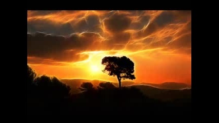 Schiller - Morgenrot