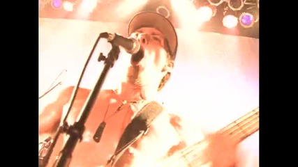 Puya - Oasis