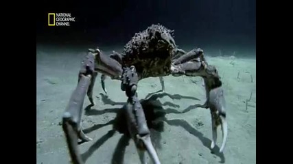 National Geographic - Nature Scenes (hd) 