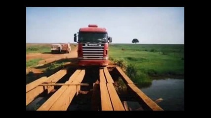 Красиви Бразилски Камиони