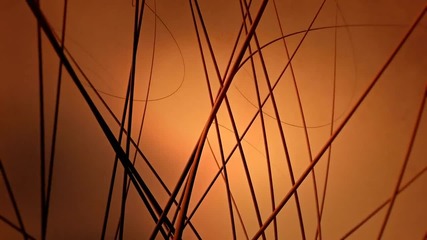 Marc Houle - I Uh You (zorba Ep) Wetyourself 2012