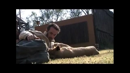 Part of the Pride by Kevin Richardson the Lion Whisperer
