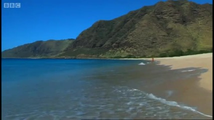 The Hawaiian Konohiki - Hawaii - Message in the Waves - Bbc 