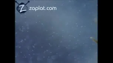 Deniz Kirpisi Ureme Ani izle 2011 Hq 