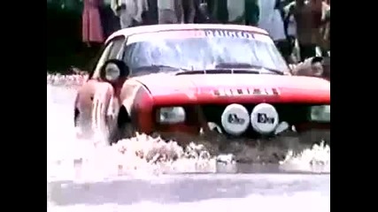 Peugeot 504 and Peugeot 404 - Rally 