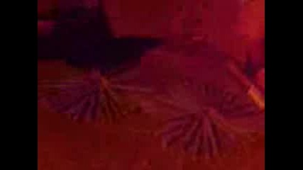 Новогодишни Пиратки 3 