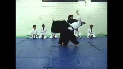 Ushiro - Ryokata - Iriminage (aikido)