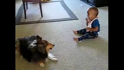 Куче и бебе си играят ..