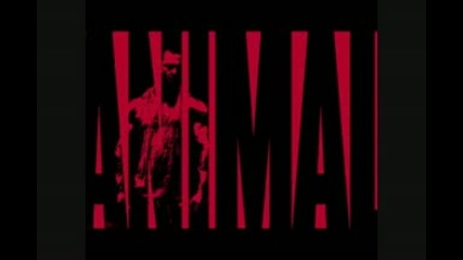 Universal Animal Nitro Iconic