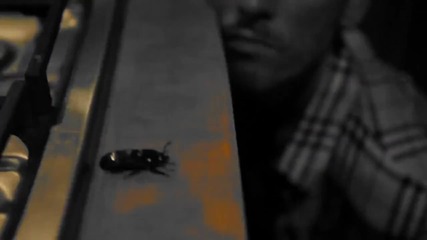 The Cataracs - Sunrise (официално видео) (2011)