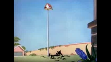 mario2.mp4