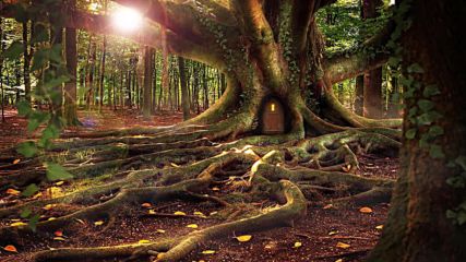 Celtic Music Light In The Forest _ Celtic Medieval Journey