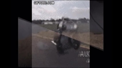 Смешни гифчета
