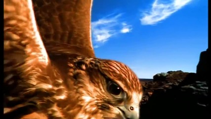 Rednex - Spirit Of The Hawk (official music video) + Превод