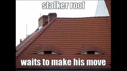 funny pictures