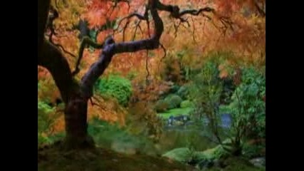 Autumn Leaves-jacques Pr