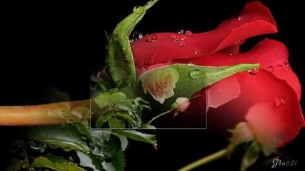 James Last Richard Clayderman
