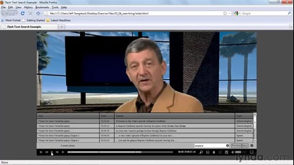 Adobe Encore Cs5 Searching content in the Flash Dvd player