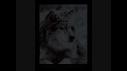 Bate Pesho & Tina - wolf
