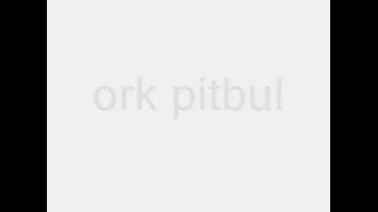 Ork Pitbul