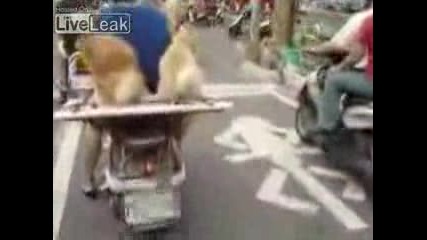 Всички на път :) 