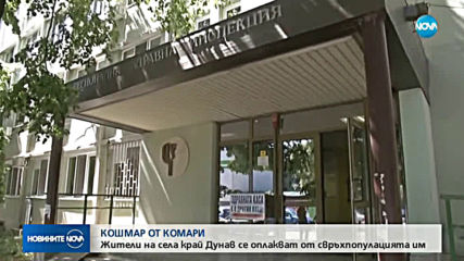 НАШЕСТВИЕ НА КОМАРИ В ПЛЕВЕНСКО: Свръхпопулация или неефективни мерки?