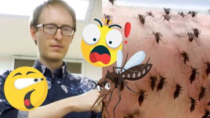 Мъж нарочно позволява на стотици комари да го хапят? Защо?