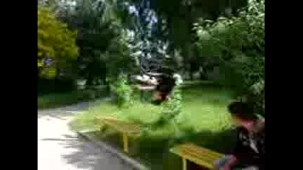 Predno