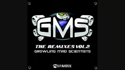 Mad Maxx - The Shaman (gms Rmx) 
