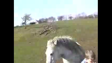 Коне