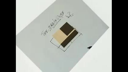 The Brain Cube