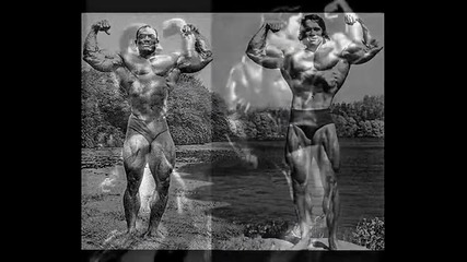 arnold vs .. 