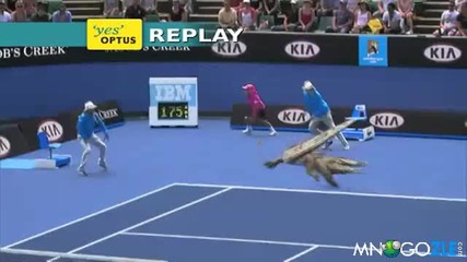 Крокодили играят тенис