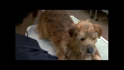 Dr Dolitle 1 Aksiyon Komedi Filmi Turkce Dublaj Film Yonetmen 2015 Hd