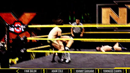 A new NXT Champion will be crowned tonight