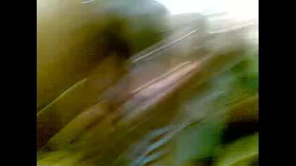mehana 2008