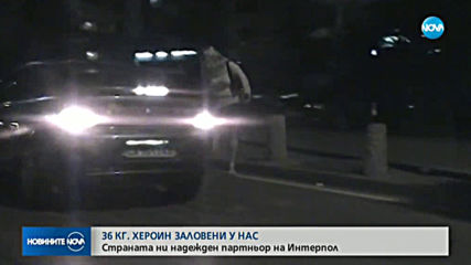 Три жертви на трафик на хора спасени у нас при операция "Тезей"