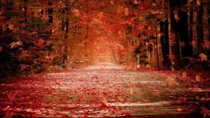 Autumn Dream - Eсенна мечта