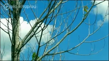 Даяна - Сделка или не