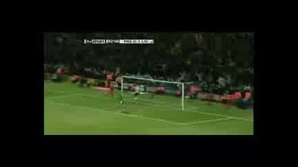 Fernando Torres all 17 goals season 2008/09