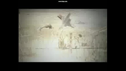 Company Of Heroes