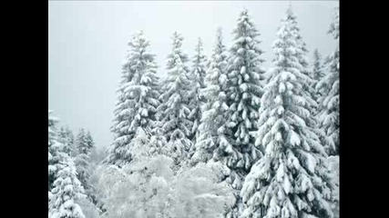 Photostory1.wmvбяла Приказка.wmv