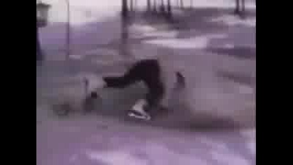 Funny Cat and Dog