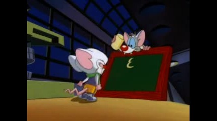 Pinky and the Brain,ep. 31