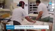 Зърнопроизводители искат с 30% по-висока изкупна цена на пшеницата