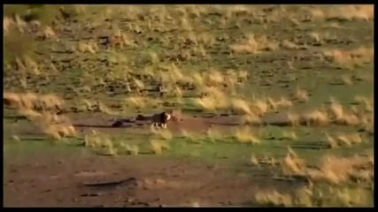 Нашата Красива Планета !!!!!!!!